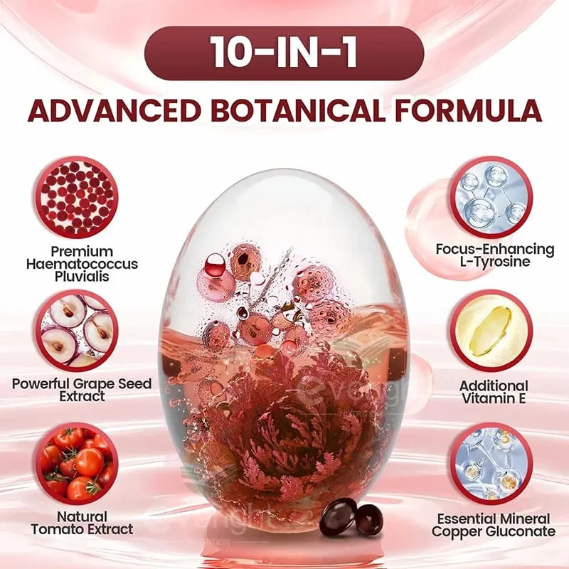 Astaxanthin 24mg – Powerful Antioxidant for Skin Eyes Immune System – 10-in-1 Formula Lycopene Grape Seed Vitamin E & Zinc — image 3