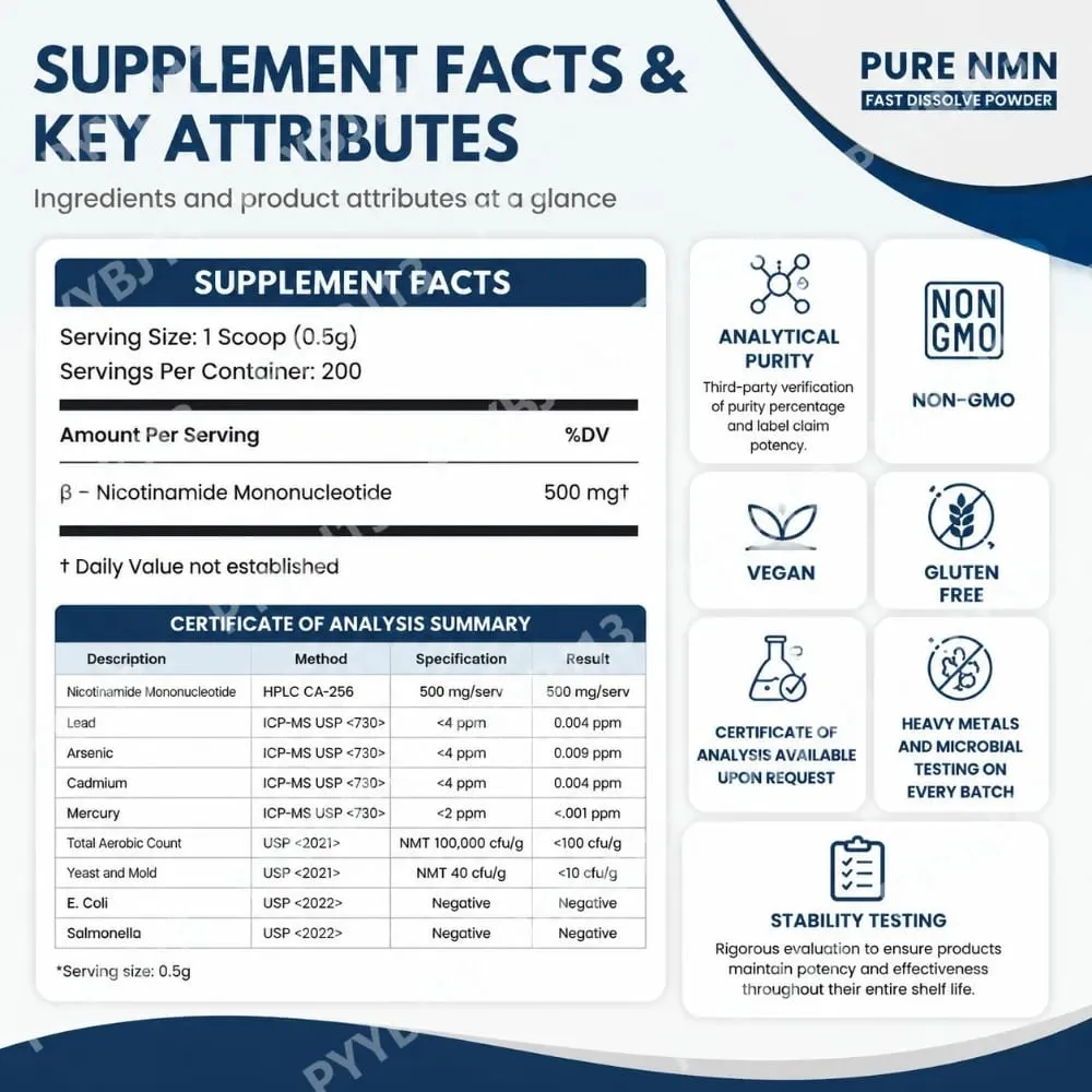 NMN Supplement Powder Nicotinamide Mononucleotide 500mg Pure Formula for Men Women Cellular Energy Support Daily Nutrition 100g