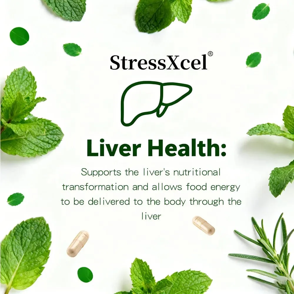 Chlorophyll Capsules with Peppermint - Supports Internal Cleanse Gut Health pH Balance Natural Freshness & Daily Wellness
