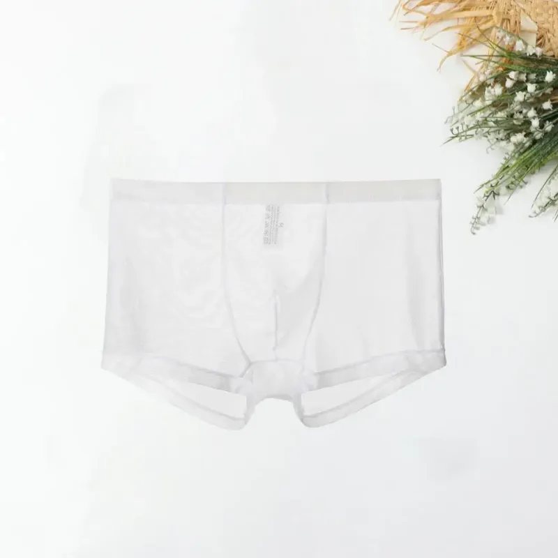 Mga Transparent na Boxer para sa Mga Lalaki na See Through Panlalaking Panloob na Sexy Mesh Low Waist Ice Silk Manipis na Nakakapalamig na Panti ng Lalaki na Panloob na Panloob — image 16