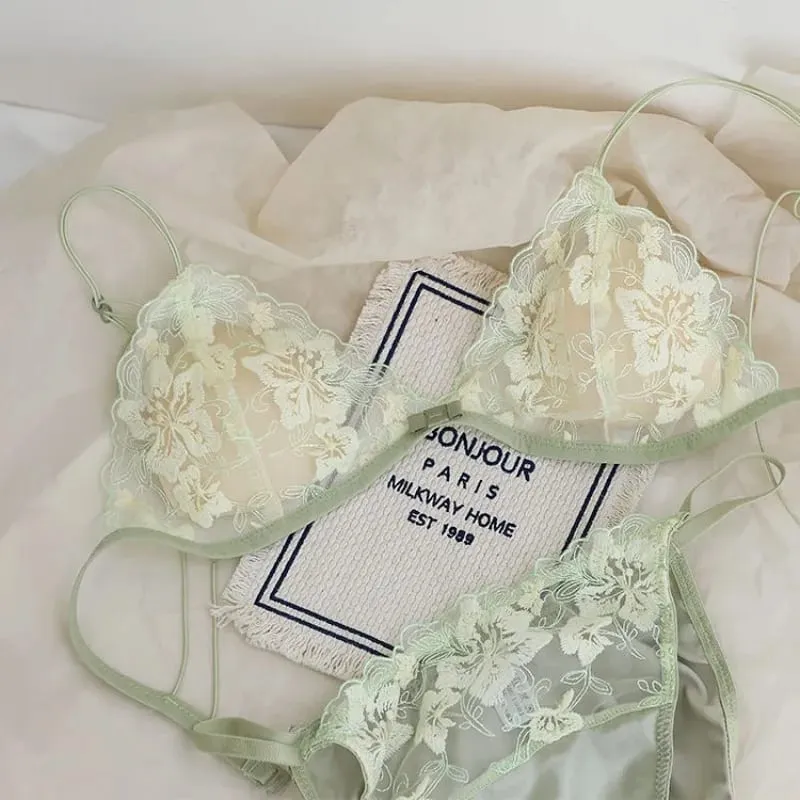 French Lace Bralette Small Bust Women Wireless Ultra Thin Sexy Embroidery Mesh No Underwire Push Up Comfort Bra Set BANERDANNI — image 2