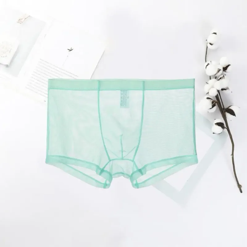 Mga Transparent na Boxer para sa Mga Lalaki na See Through Panlalaking Panloob na Sexy Mesh Low Waist Ice Silk Manipis na Nakakapalamig na Panti ng Lalaki na Panloob na Panloob — image 13