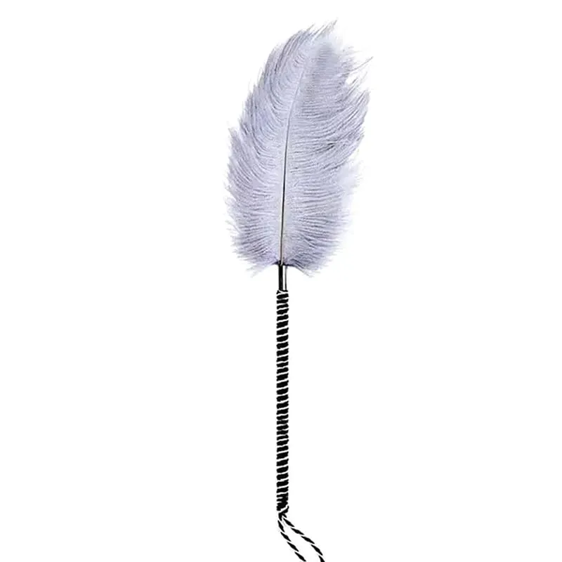 Clitoris Tickle Feather Erotic Whip Spanking Adult Sex Toys For Women Product Teasering Nipple Erotic Accessory▪ — image 9