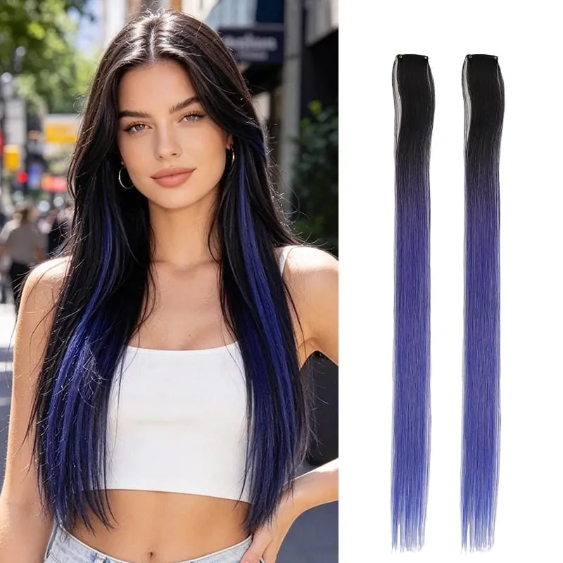 2Pcs Pack Two-Tone Ombre Highlight Clip in Wig Straight Hair Piece Synthetic Fiber Comb for Daily Party Look — image 11