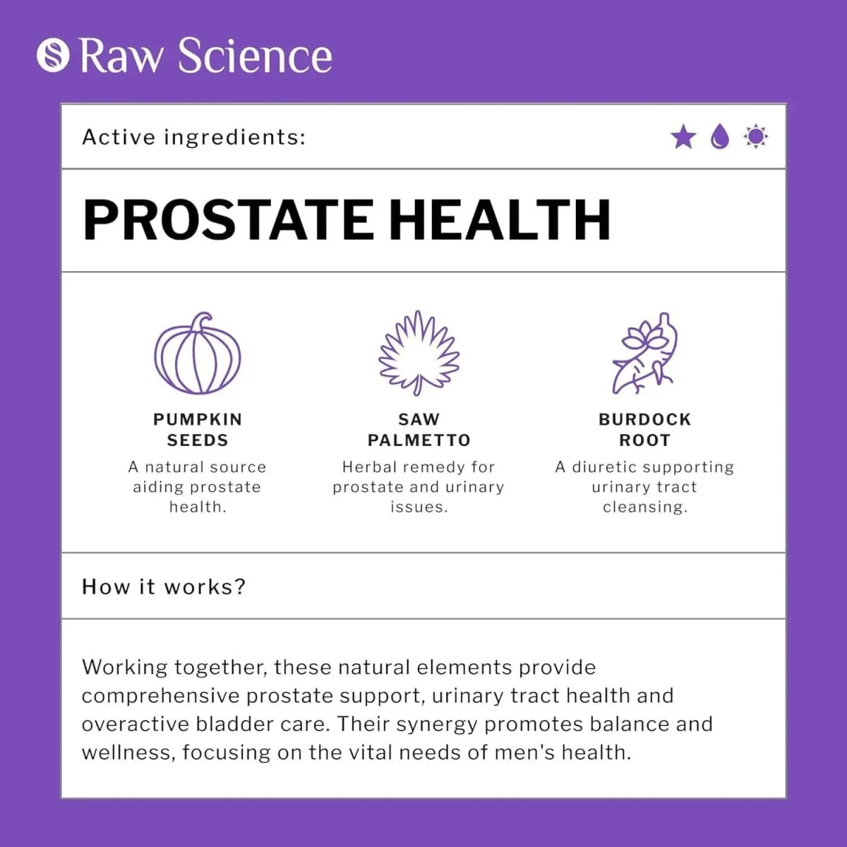Men's Health Prostate Support Supplement - Saw Palmetto Lycopene Pygeum Pumpkin Seed Extract β - sitosterol -60 capsules — image 2