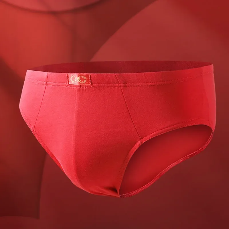 Men's Trendy Red Briefs for Their Zodiac Year, Wedding Gift, Good Luck and Celebration Briefs — image 7