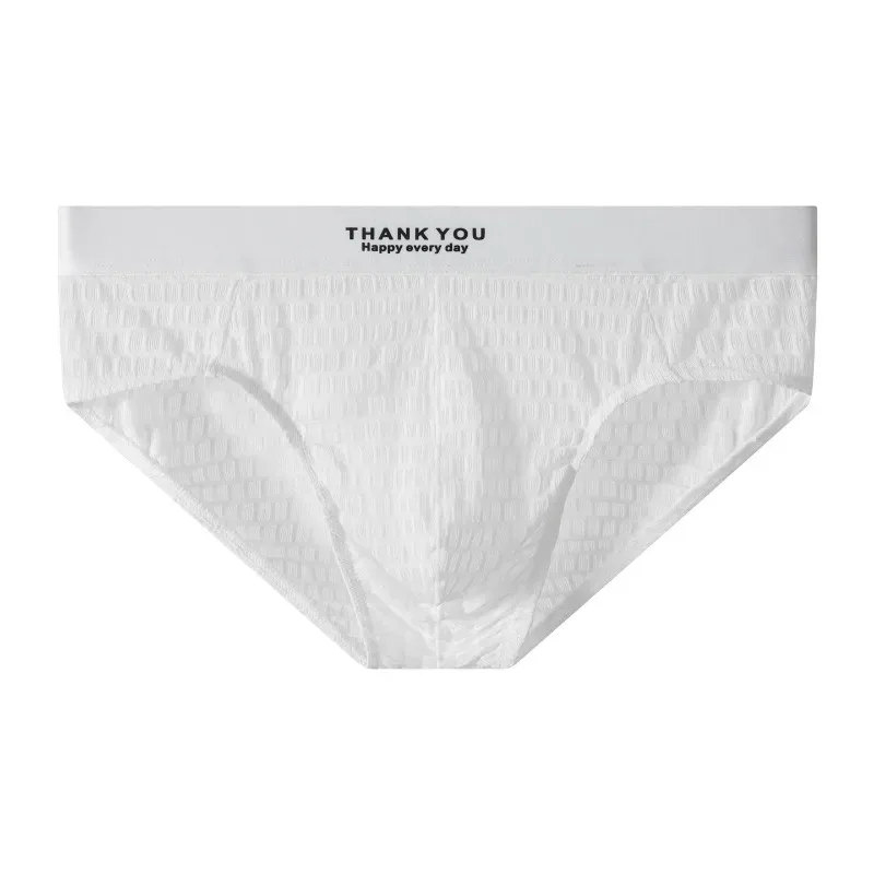 Transparent Mesh Underwear Male Ultra Thin Sheer Briefs Breathable Underpants Bulge Pouch Panties Soft Lingerie Low Rise Knicker — image 6