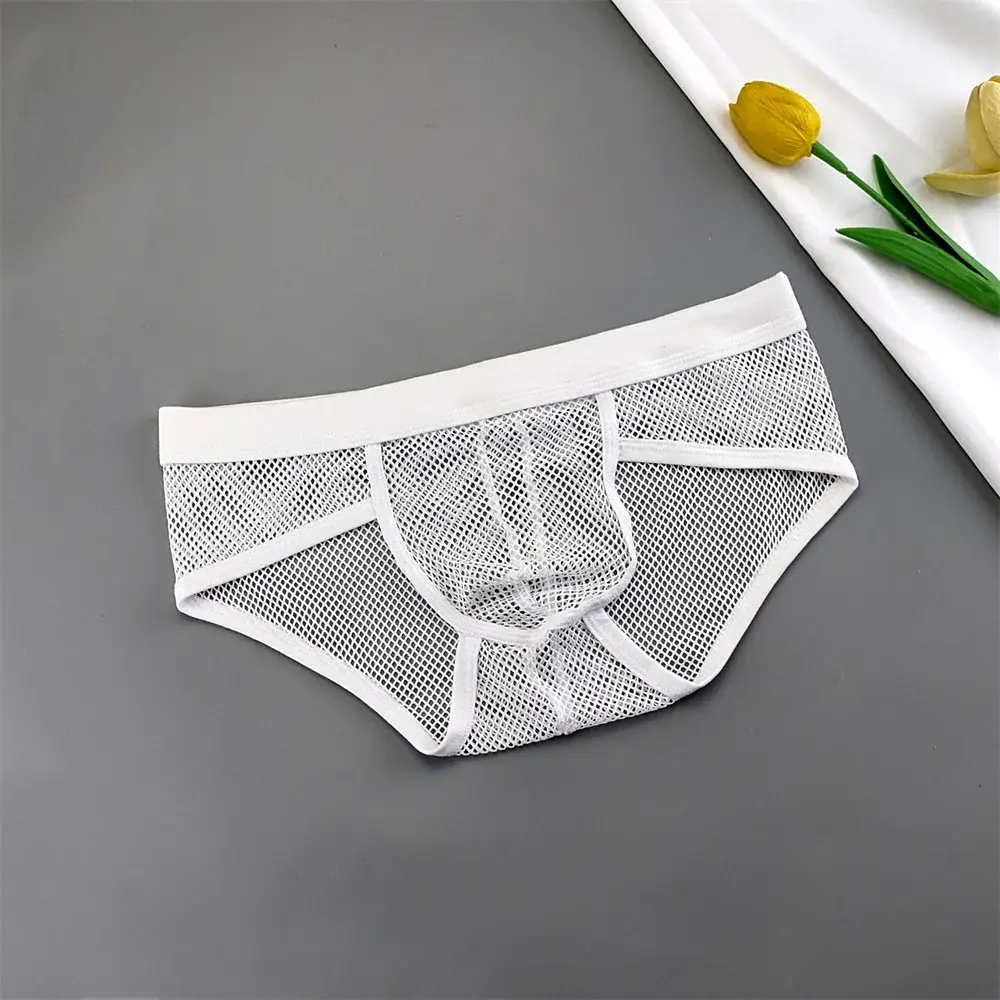 Hollow Out Mesh Men's U Pouch Underwear Low Waist Transparent Bikini Briefs Breathable Panties Plus Size — image 2
