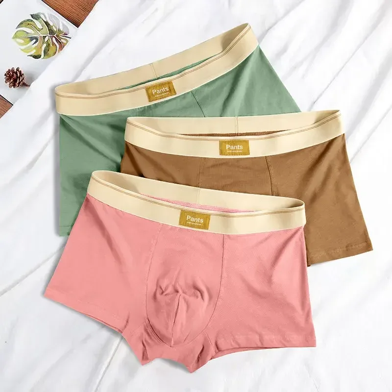Panlalaking Kasuotang Panloob na Cotton BoxerShorts Hombre Panties Lalaking Makahinga Panloob Sexy Sports Comfort Panlalaking Boxer Malaking Laki L-7XL — image 3