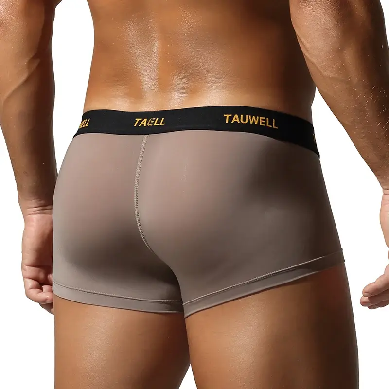 Men's Underwear Comfortable Cool Thin Sexy Semi-Transparent Flat Angle Pants with U-Shaped Pouch Briefs — image 14