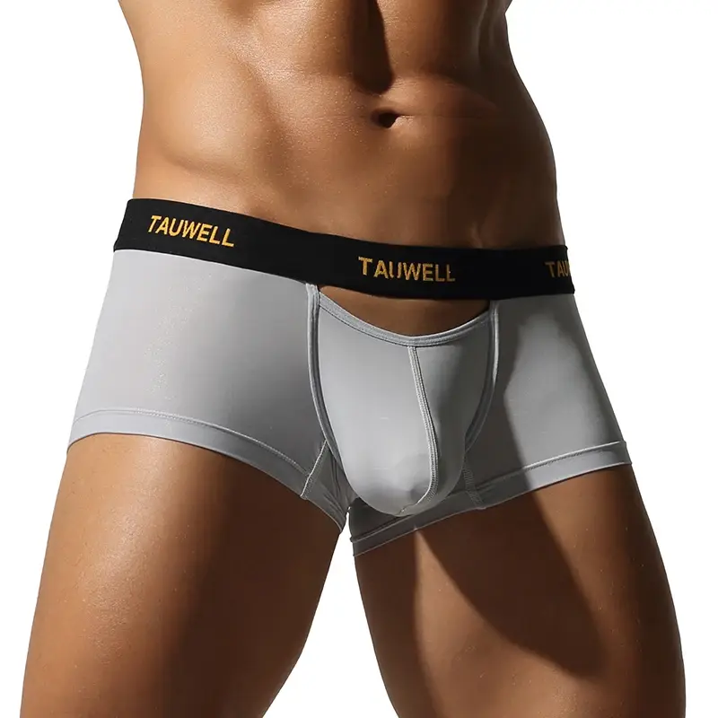 Men's Underwear Comfortable Cool Thin Sexy Semi-Transparent Flat Angle Pants with U-Shaped Pouch Briefs — image 4