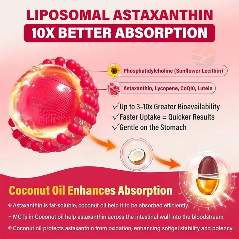 Liposomal Astaxanthin อาหารเสริม Lycopene CoQ10 Lutein วิตามิน B6 E สังกะสีสารต้านอนุมูลอิสระเพื่อสุขภาพผิวดวงตา Aging — image 4