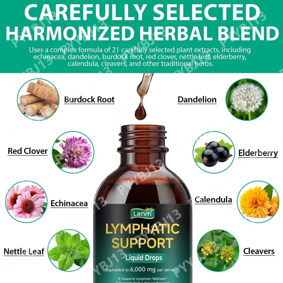 Lenm 60 ml lymfesystem renser immunstøtte Flydende kosttilskud Naturlige organiske lymfedråber til balancestøtte — image 6