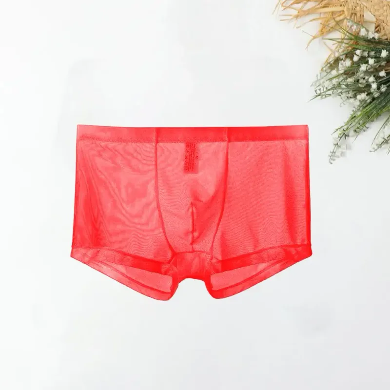 Mga Transparent na Boxer para sa Mga Lalaki na See Through Panlalaking Panloob na Sexy Mesh Low Waist Ice Silk Manipis na Nakakapalamig na Panti ng Lalaki na Panloob na Panloob — image 14