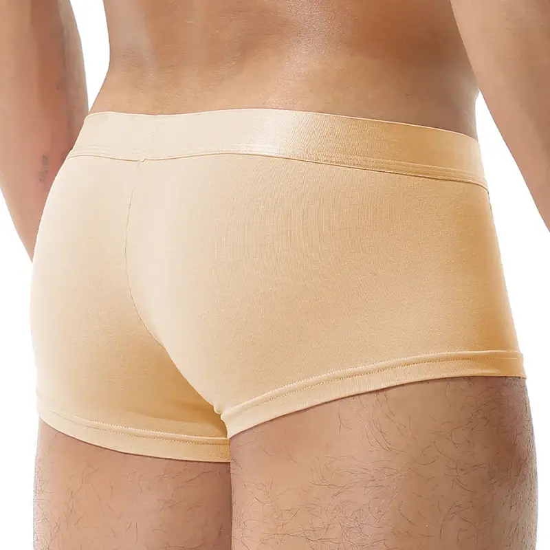 1Pcs Open Front Underwear Men Ice Silk Sexy Men's Boxer Shorts Panties Breathable Pouch Bulge Underpants Male