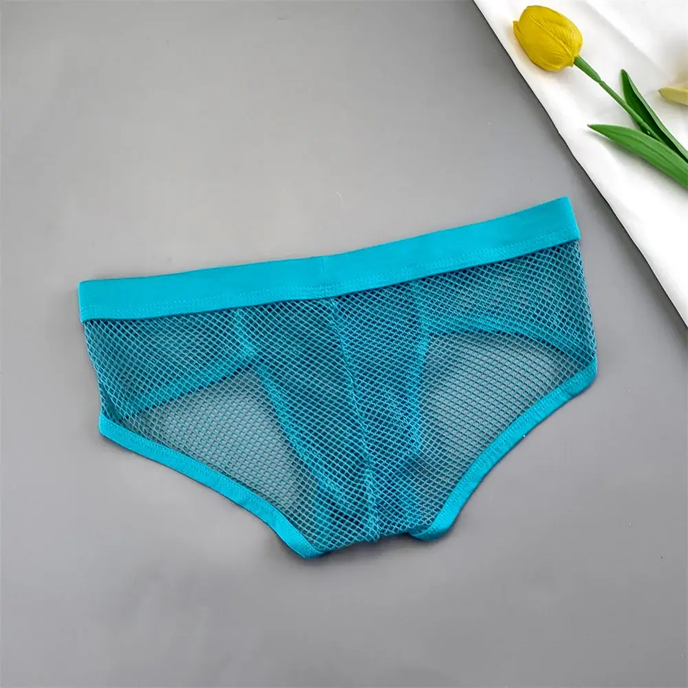 Hollow Out Mesh Men's U Pouch Underwear Low Waist Transparent Bikini Briefs Breathable Panties Plus Size — image 7