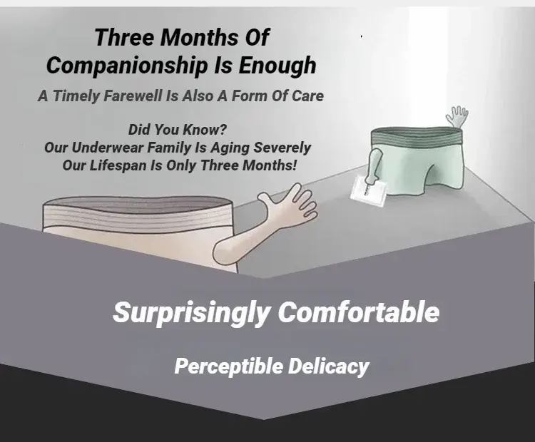 Men's 5 Pcs Plain Color Boxer Briefs Breathable High Elastic Comfortable Soft Skin‑Friendly Casual Underwear Underpants For Men — image 2