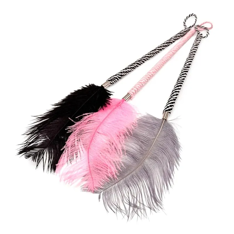 Clitoris Tickle Feather Erotic Whip Spanking Adult Sex Toys For Women Product Teasering Nipple Erotic Accessory▪ — image 2