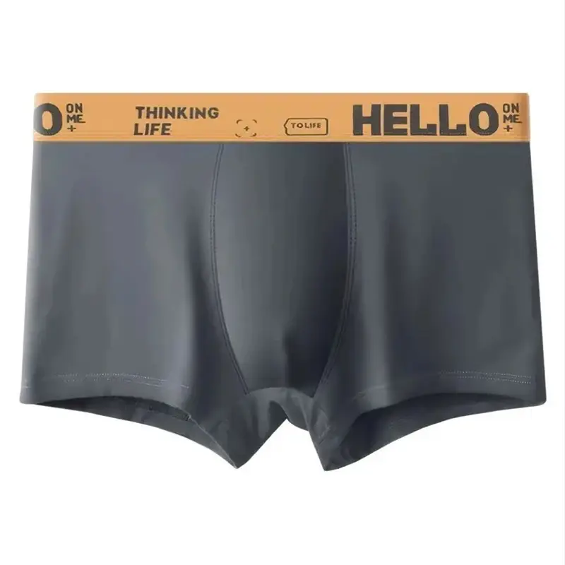 5Pcs 망 속옷 남성 복서 섹시한 속옷 편안한 통기성 패션 소년 팬티 속옷 Boxershorts 남자 3256805433924630 — image 1