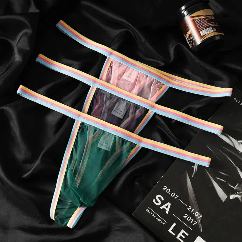 Men's Ultra-thin Mesh Briefs Underpants Man Sexy Underwear Breathable Ropa Interior Hombre Slips Quick Dry Bikinis Sissy Panties — image 2
