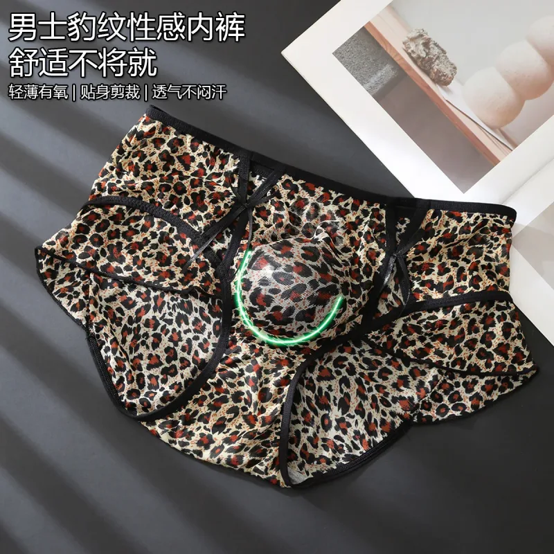 Men's Ruffle Mesh Sissy Panties See Through Crossdresser Silky Knicker Hollow High Waist Brief Sissy U Convex Pouch Underpant