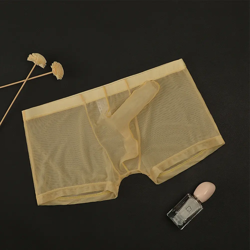 Mga Sexy Men Mesh Transparent Lightweight Underwear See Through Breathable Boxer Briefs Panties Bullet Separation Male Boxer Panty — image 2