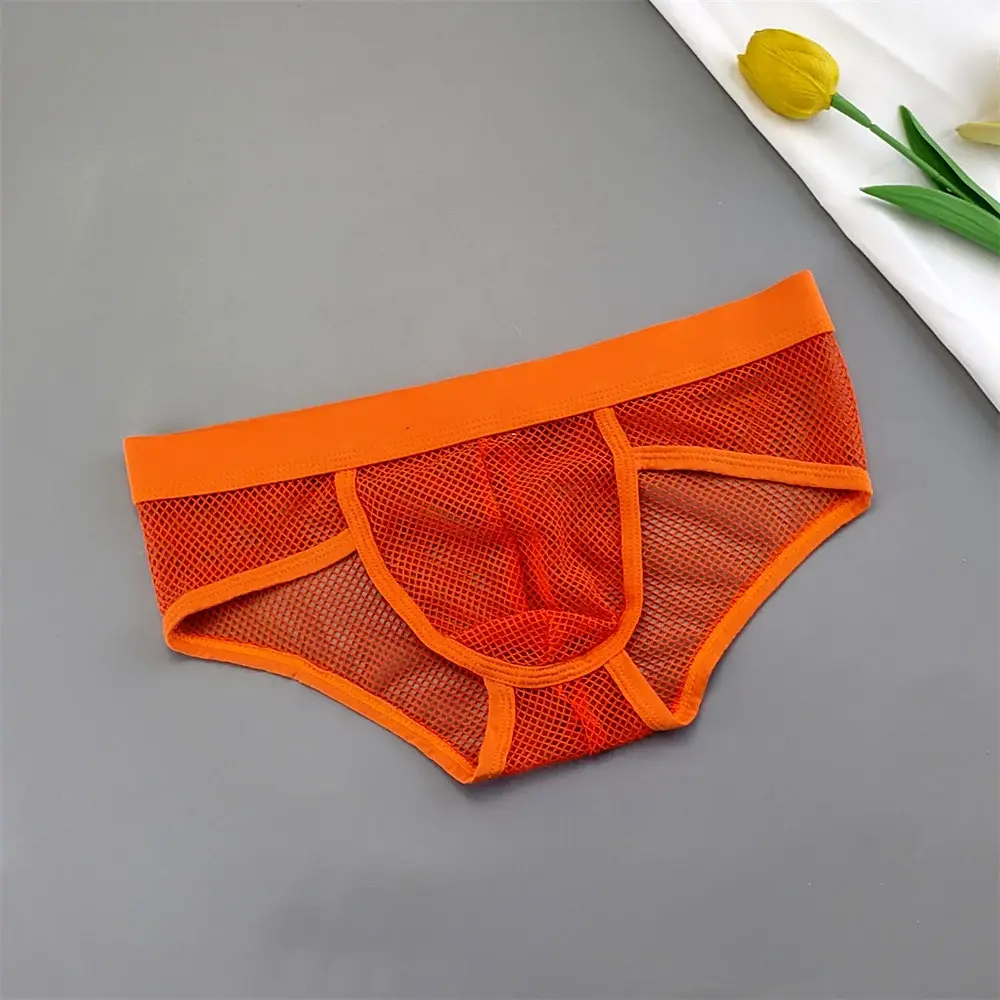 Hollow Out Mesh Men's U Pouch Underwear Low Waist Transparent Bikini Briefs Breathable Panties Plus Size — image 6