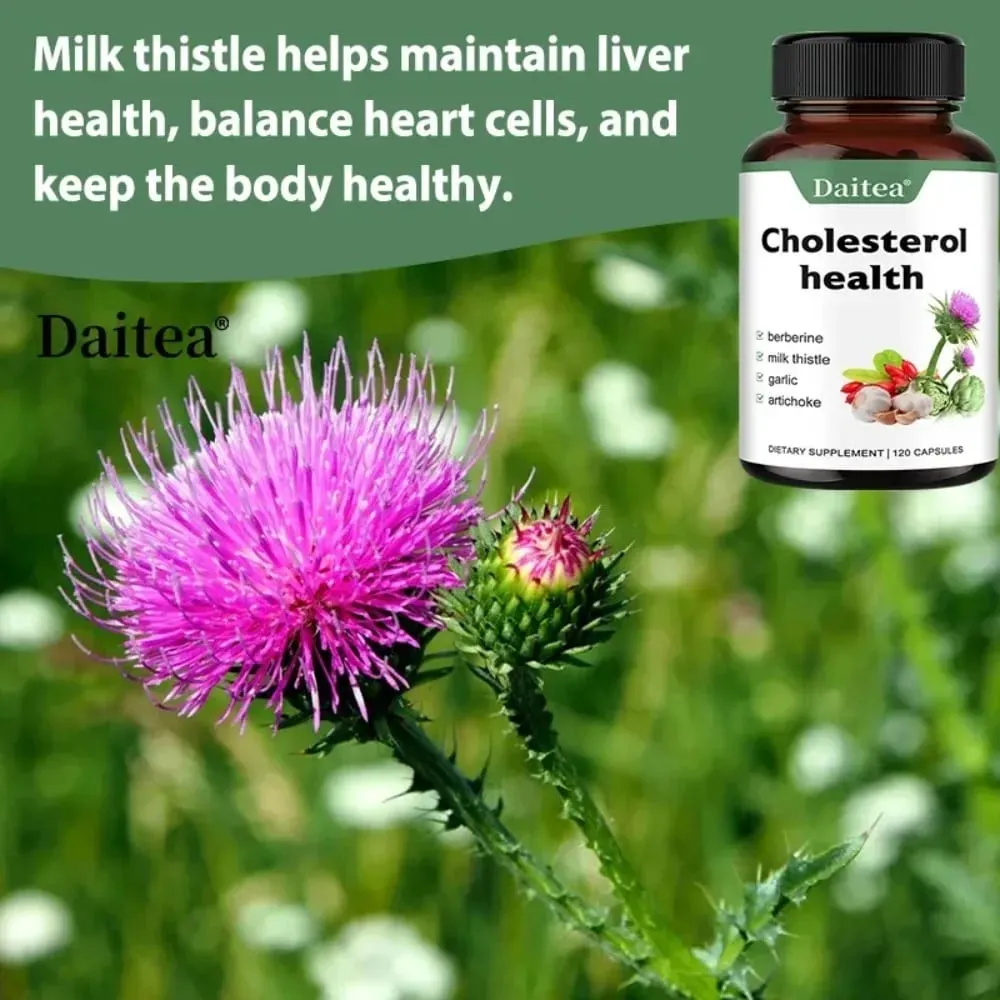 Cholesterol Supplements - Keep Blood Flowing and Promote Cardiovascular Health — image 3