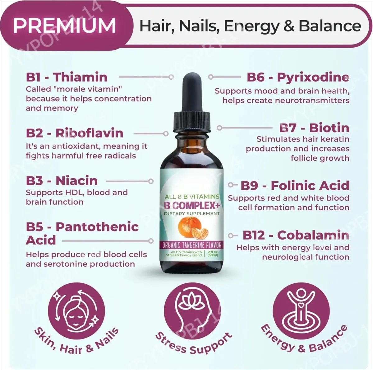 Vitamin B Complex Liquid Drops Supplement Vegan B1 B2 B3 B5 B6 Biotin Folate and Choline Plus Blend for Energy Support 60ml — image 5