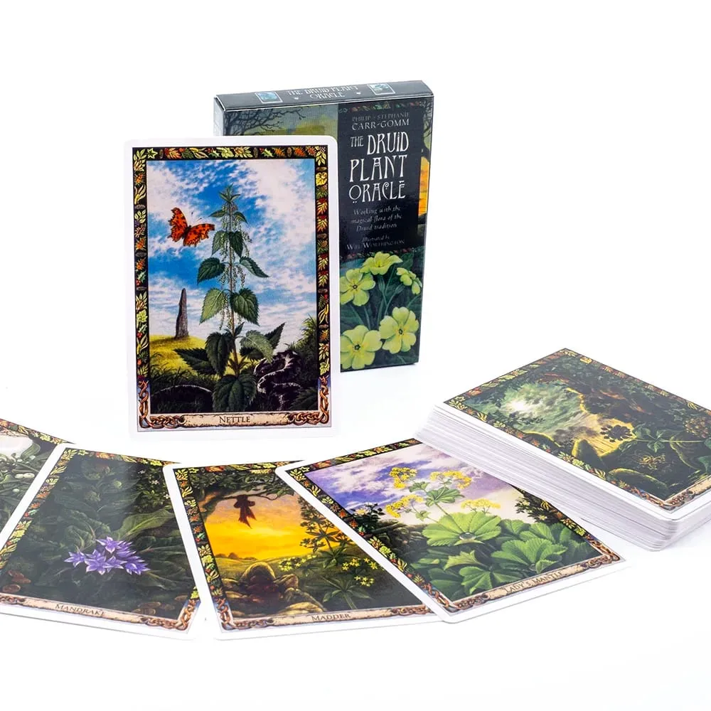 Cotolie KUMACHAN MOON CARDS 24 ks balíček anglická verze Rozkošný Bear Oracle Cards Stolní hra pro rodinnou párty 10,4*7,4 cm — image 8