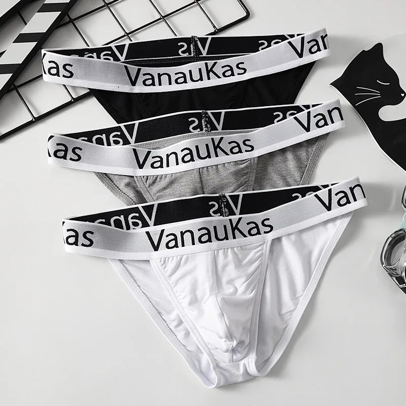 Men's High Cut Panties Soft Modal Fabric Low Rise Briefs Sexy Comfortable Underwear