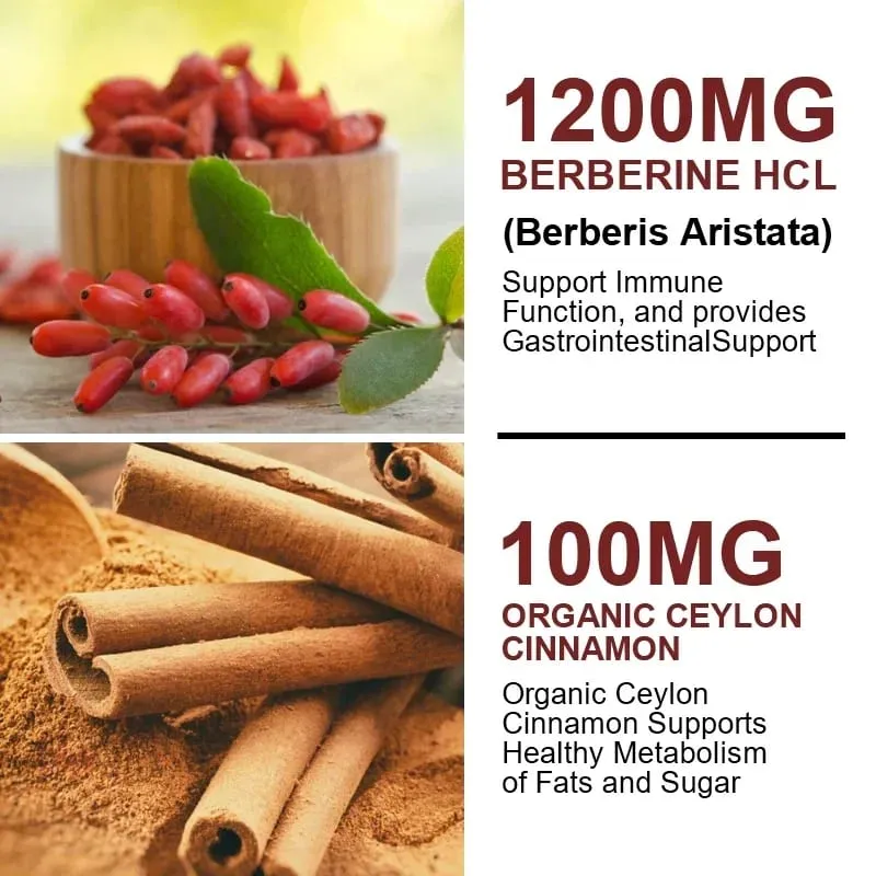 Το συμπλήρωμα Berberine 1200mg υποστηρίζει την ενεργοποίηση AMPK Υγιής μεταβολισμός γλυκόζης Ανοσία & έλεγχος βάρους για ενήλικες — image 5