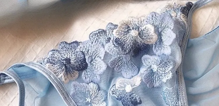 法式小眾內衣套裝刺繡網布三角杯無鋼圈胸罩復古蕾絲薄款性感舒適胸罩美國Tushy MOYISU — image 11