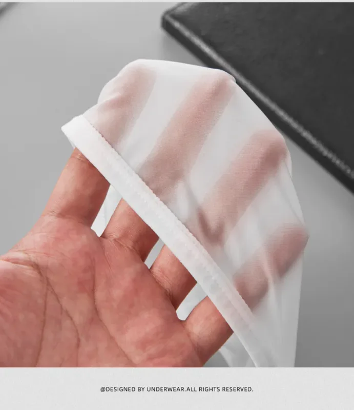 Men's Sexy Underwear Thin Ice Silk Translucent Briefs U Pouch Ropa Interior Hombre Male Panties — image 13