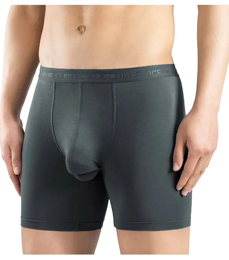 David Archy 3 Pak Celana Dalam Pria Celana Boxer Dasar MicroModal Lembut Bersirkulasi Pria Boxer Kantong Ganda Cepat Kering Olahraga Kebugaran