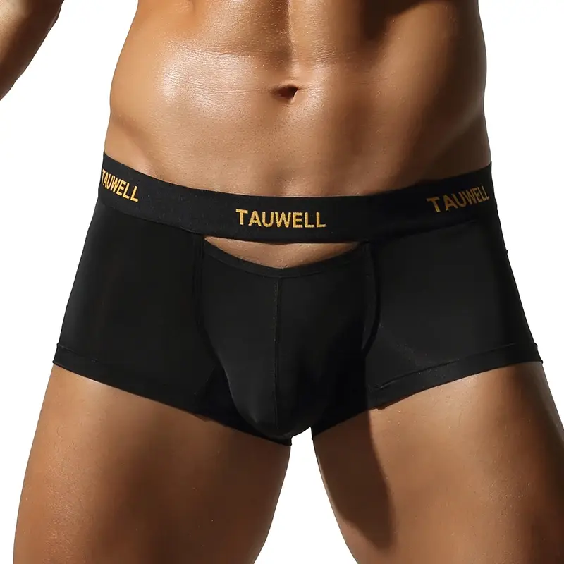 Men's Underwear Comfortable Cool Thin Sexy Semi-Transparent Flat Angle Pants with U-Shaped Pouch Briefs
