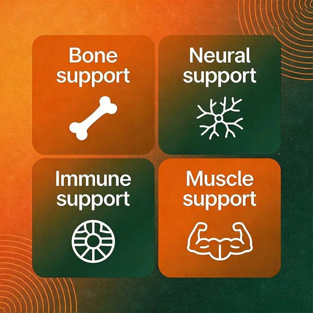 Calcium + Magnesium + Zinc + Vitamin D3 Capsules - Supports Bone and Nervous System Health and Improves Mood | Non-GMO — image 3