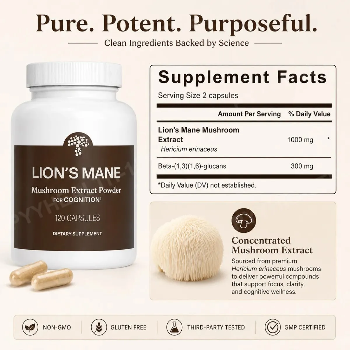 Lion's Mane Mushroom Extract 1000 mg with 300 mg Beta-Glucans Daily Focus and Wellness Support 120 Capsules 60 Servings — image 2