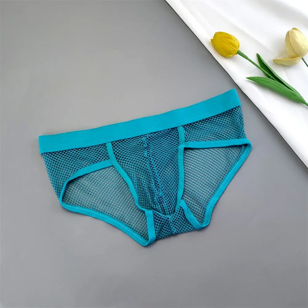 Hollow Out Mesh Men's U Pouch Underwear Low Waist Transparent Bikini Briefs Breathable Panties Plus Size — image 5