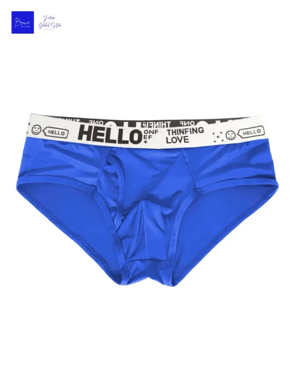 Men's Low Rise Front Fly Briefs Icy Contour Pouch Underwear Breathable Moisture Wicking Trunks Office Workout Daily Casual Wear