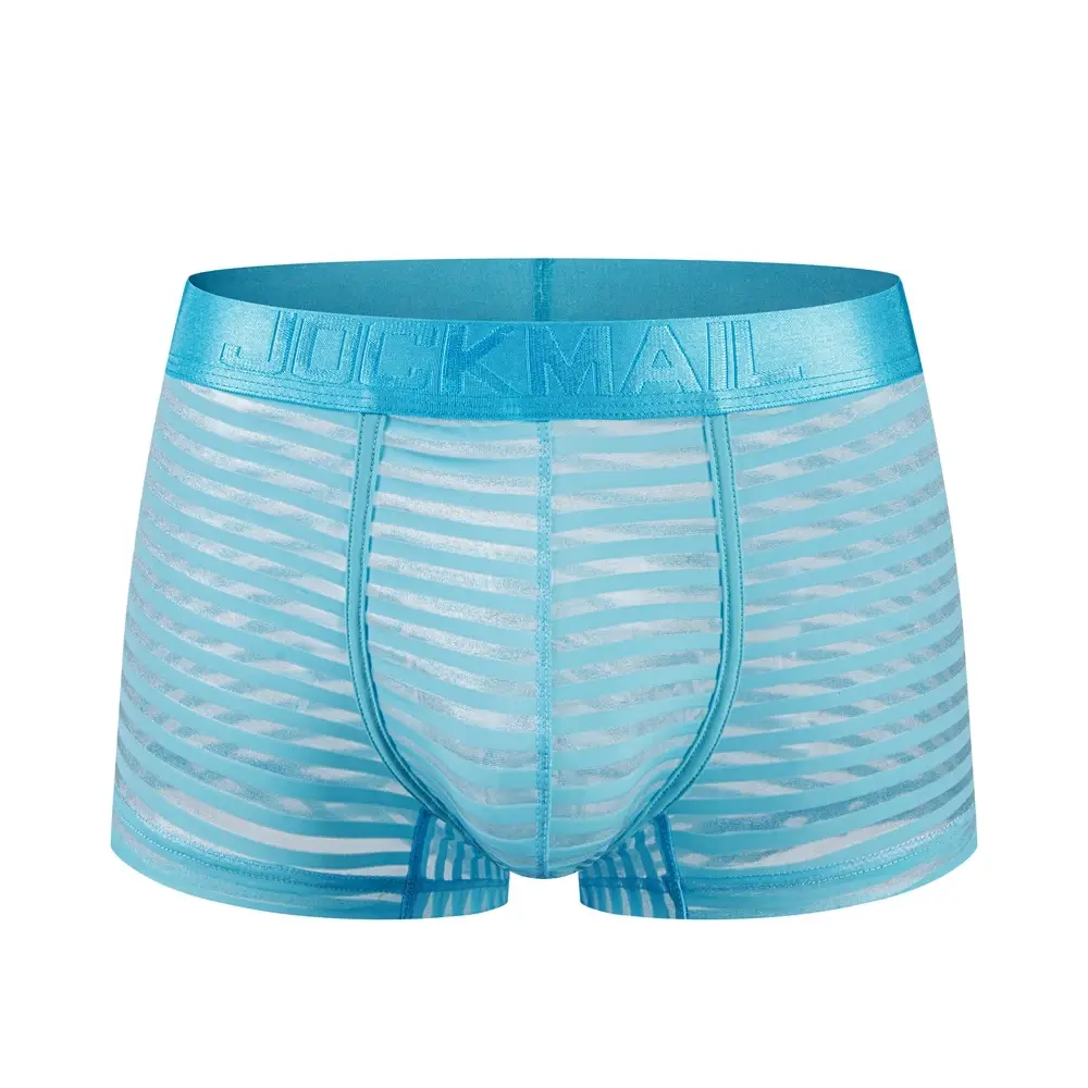 Sexy Men Underwear Boxer Shorts Transparent Mesh Underpants Trunks Men Panties Low Waist Nylon Breathable Quick Drying — image 9