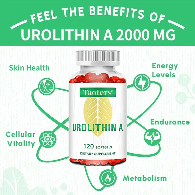 Antioxidant Supplement with Urolithin A - Natural Pomegranate Capsules for Heart Health Joint Support for Men and Women — image 5