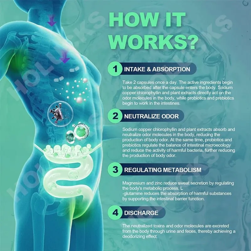 Natural Chlorophyll Capsules Supplement Internal Detox Cleanse Body Deodorant Promote Digestive & Skin Wellness — image 3