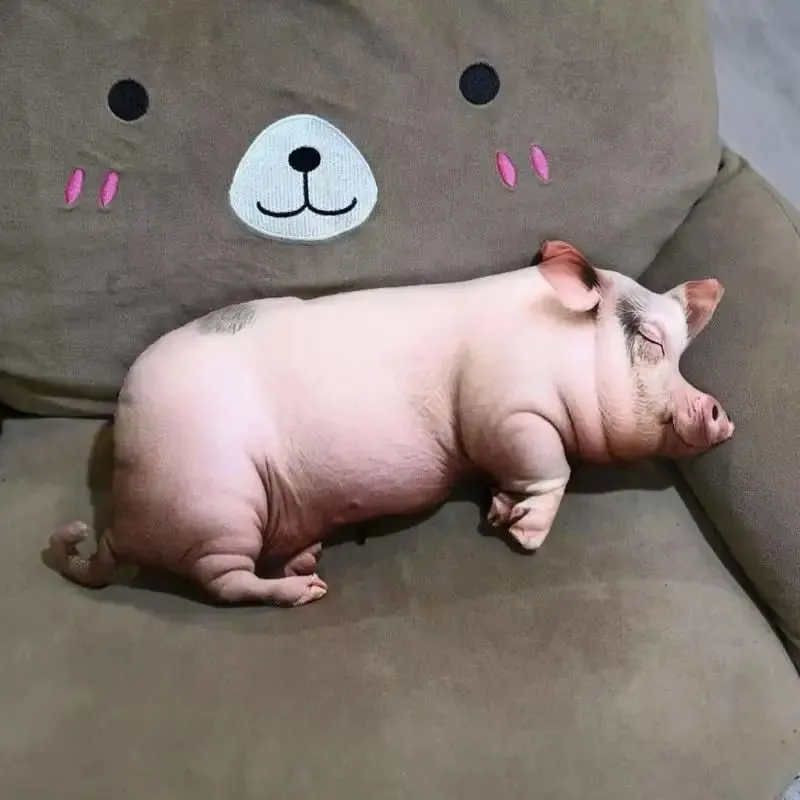 [New] Realistic Sleeping Pig Plush Toys Cotton Stuffed Lifelike Printing Pig Doll Cozy Soft Home Throw Pillow Kawaii Home Decor