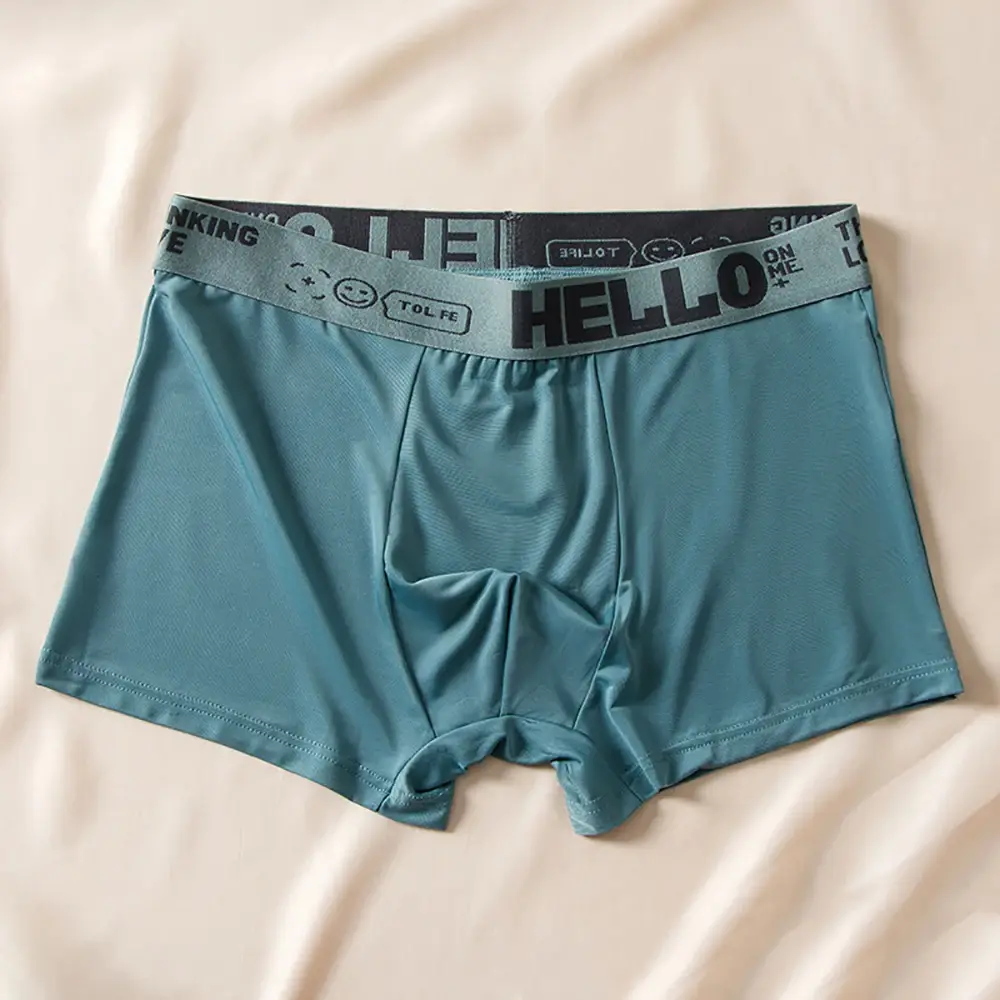 5pcs/set Men Boxer Shorts Ice Silk Men's Underwear Summer Breathable Plus Size Underpants U Convex Lingerie Cool Sexy Panties