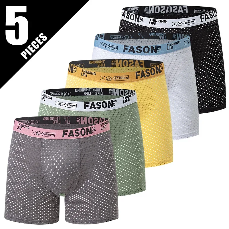 5pcs-yzt-dong