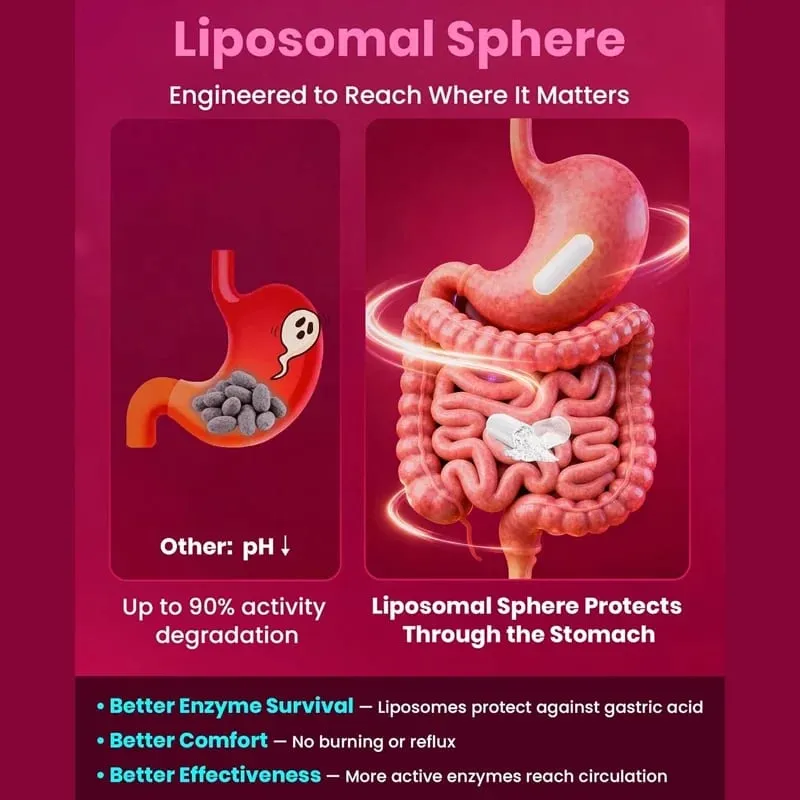 Nattokinase Serrapeptase Supplement Support Circulation Energy Inflammation Relief & Overall Body Health for Adults — image 3