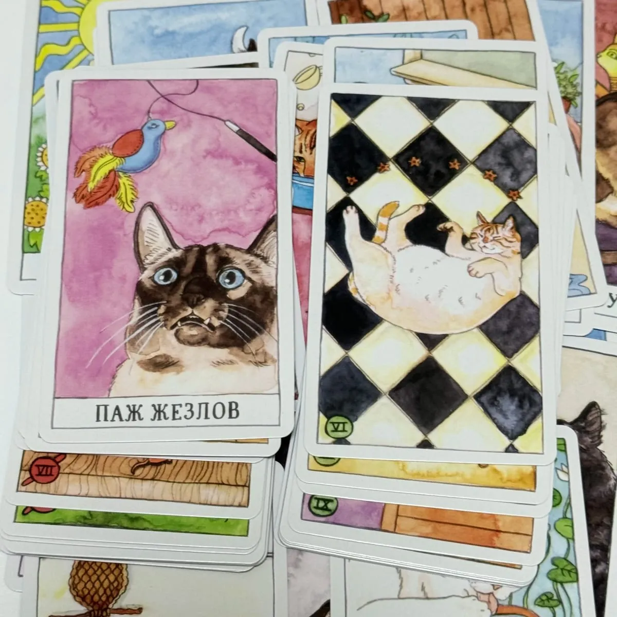 78Pcs Cat Tarot Deck Cute Kitten Series Russian Version Board Games Divination Tarot Cards — image 5