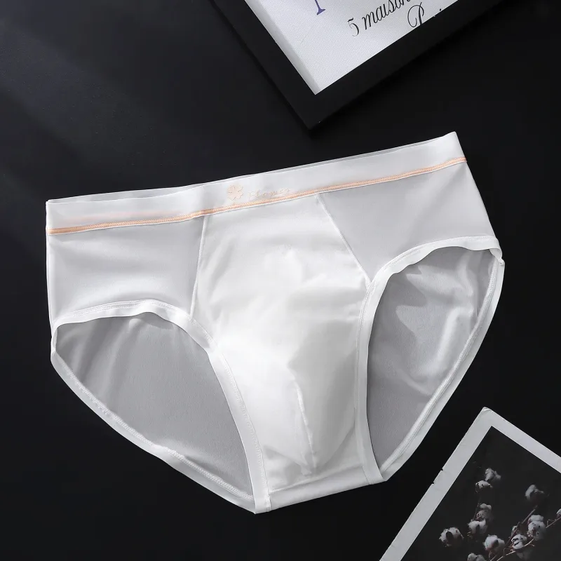 Women Panties for Men Ice Silk Seamless Brief Sexy Mesh Splicing Transparent Underwear Youth Breathable U Convex Pouch Underpant — image 21