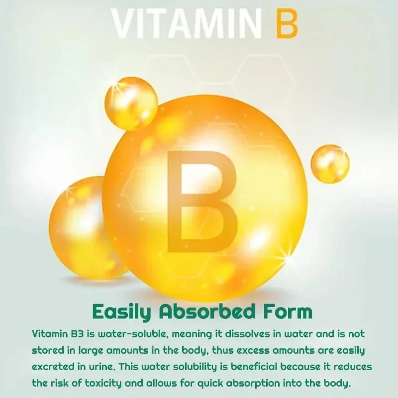 Niacinamide Vitamin B3 Capsules - Supports Brain Function and Heart Health Boosts Energy Production and Enhances Immunity — image 6
